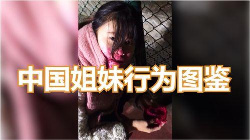 姊妹行全集在线观看,一场跨越时空的姐妹情深之旅 第2张 姊妹行全集在线观看,一场跨越时空的姐妹情深之旅 第2张